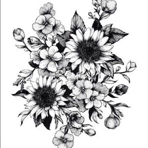 Meet your Posher, Hayley